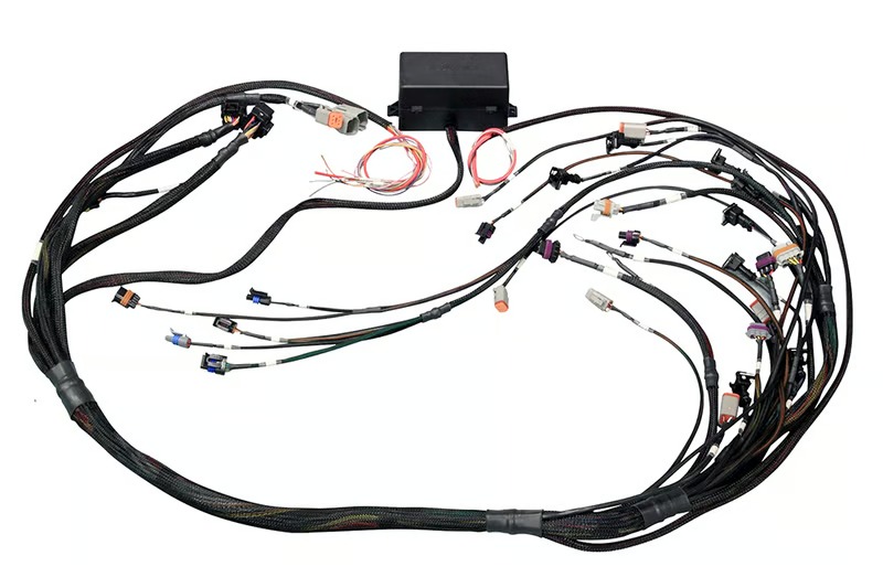 Elite 2000/2500 GM GEN IV LSx (LS2/LS3 etc) non DBW Terminated Harness (EV6)