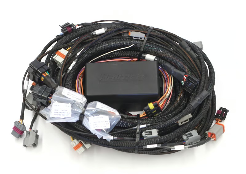Elite 2500 GM GEN III LS1 & LS6 (DBW Retrofit Ready) Terminated Harness (EV1)