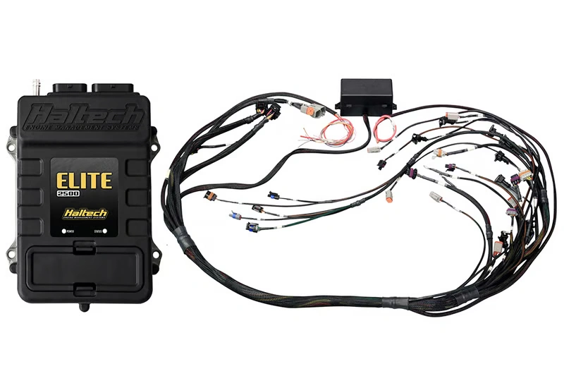 Elite 2500 GM GEN IV LS2 non DBW Terminated Harness Kit EV6